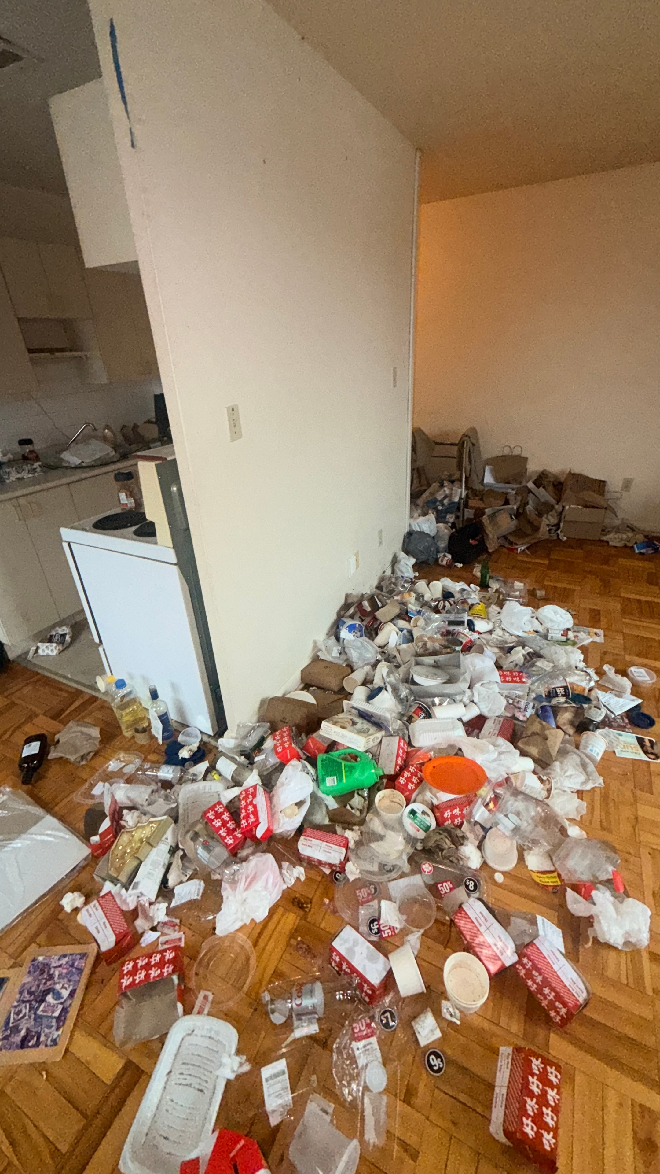 Residential unit with severe accumulation